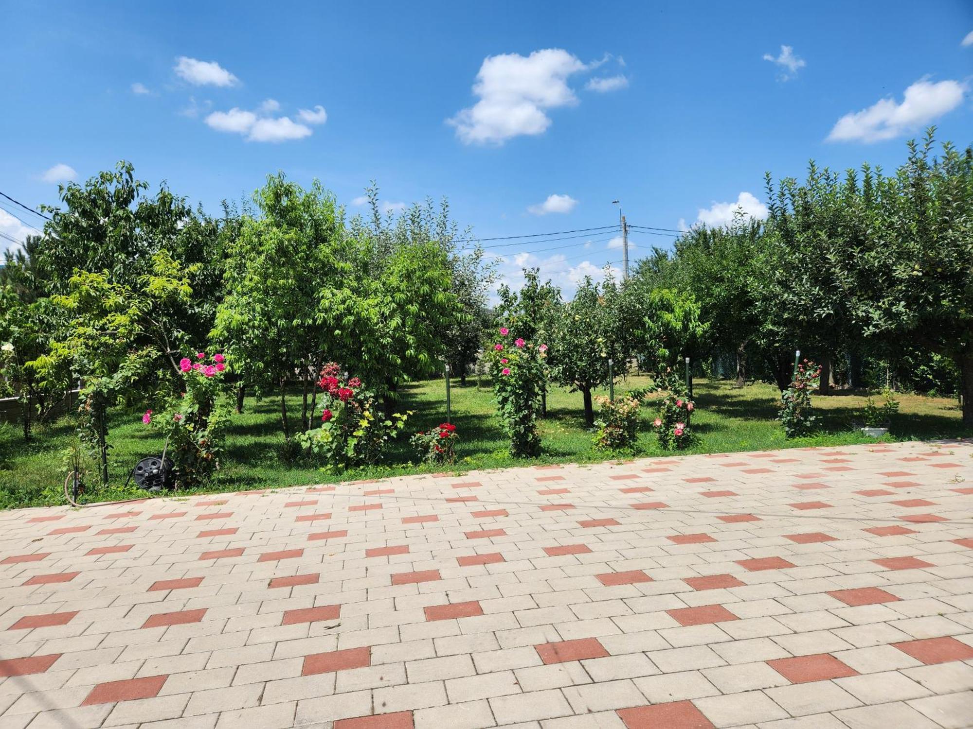 אלבה לוליה Vila Reghina מראה חיצוני תמונה